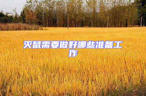 滅鼠需要做好哪些準備工作