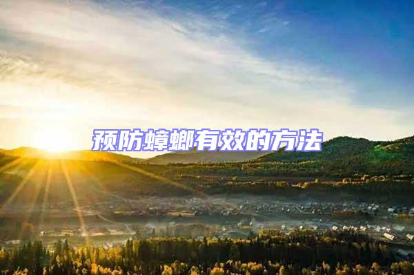 預(yù)防蟑螂有效的方法