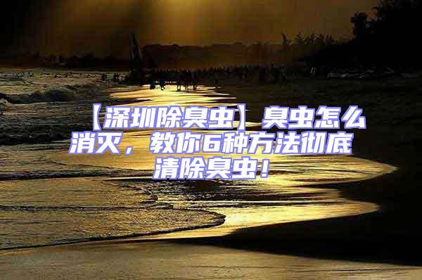 【深圳除臭蟲】臭蟲怎么消滅，教你6種方法徹底清除臭蟲！