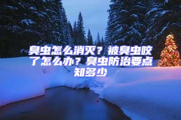臭蟲(chóng)怎么消滅？被臭蟲(chóng)咬了怎么辦？臭蟲(chóng)防治要點(diǎn)知多少