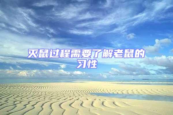 滅鼠過程需要了解老鼠的習性