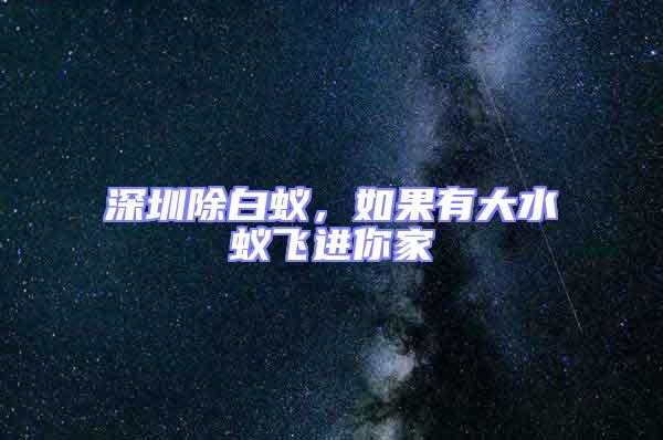 深圳除白蟻，如果有大水蟻飛進你家