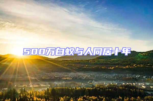 500萬(wàn)白蟻與人同居十年