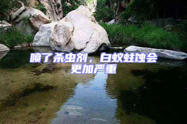 噴了殺蟲劑，白蟻蛀蝕會更加嚴重