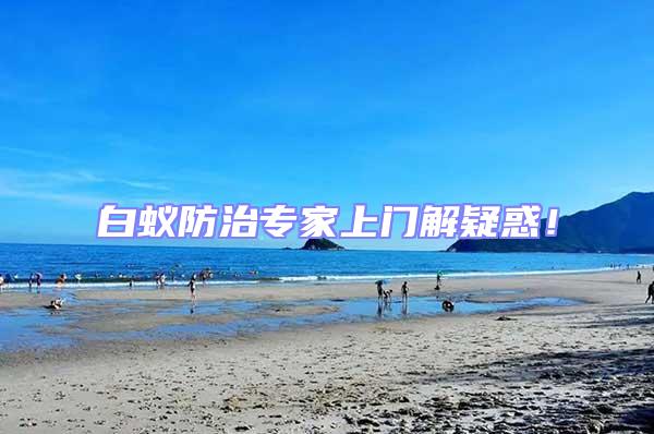 白蟻防治專家上門解疑惑！