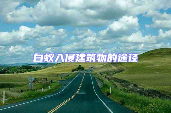 白蟻入侵建筑物的途徑