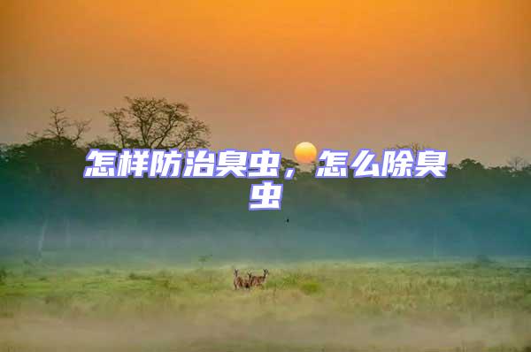 怎樣防治臭蟲，怎么除臭蟲