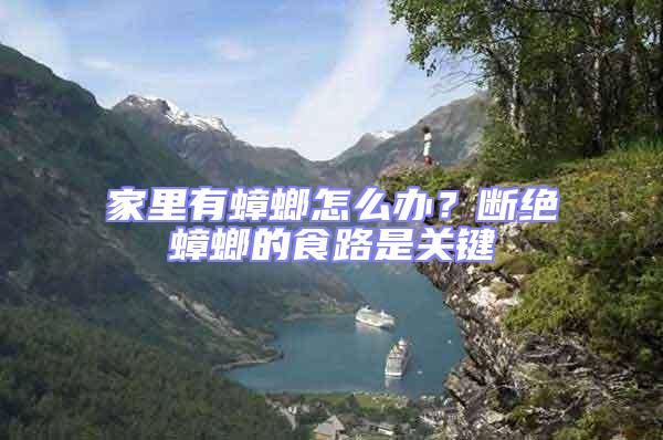 家里有蟑螂怎么辦？斷絕蟑螂的食路是關鍵