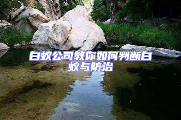 白蟻公司教你如何判斷白蟻與防治