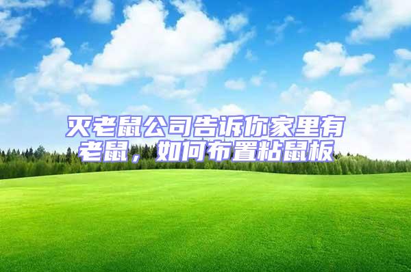滅老鼠公司告訴你家里有老鼠，如何布置粘鼠板