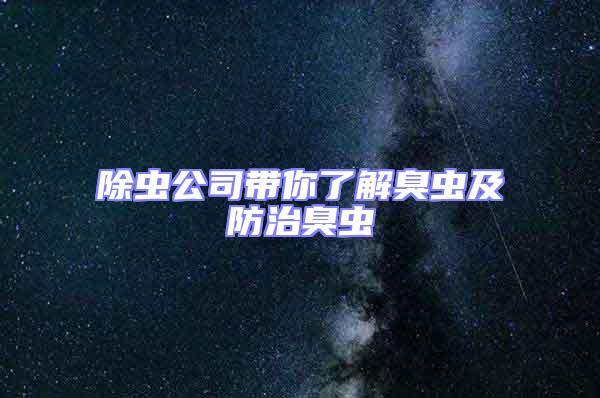 除蟲公司帶你了解臭蟲及防治臭蟲