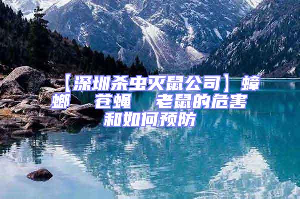 【深圳殺蟲滅鼠公司】蟑螂  蒼蠅  老鼠的危害和如何預防