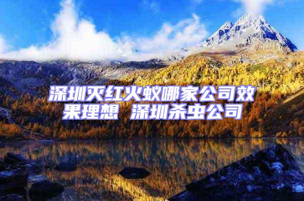 深圳滅紅火蟻哪家公司效果理想 深圳殺蟲公司