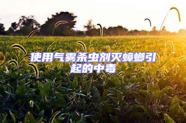 使用氣霧殺蟲劑滅蟑螂引起的中毒