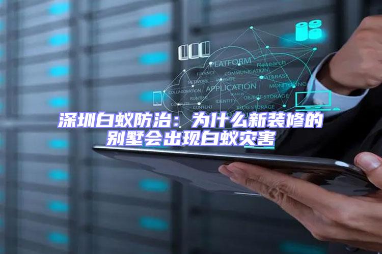 深圳白蟻防治：為什么新裝修的別墅會出現白蟻災害