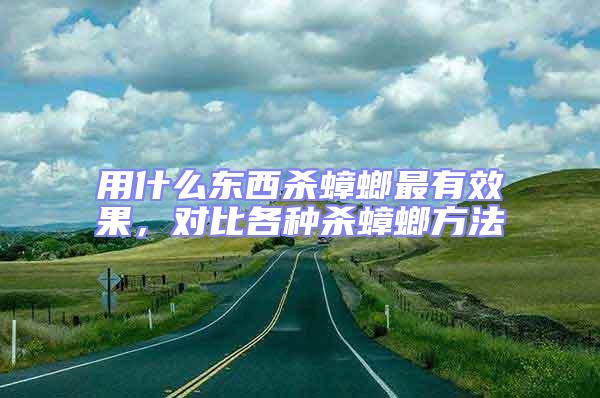 用什么東西殺蟑螂最有效果，對比各種殺蟑螂方法