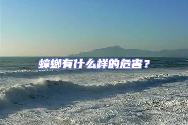 蟑螂有什么樣的危害？