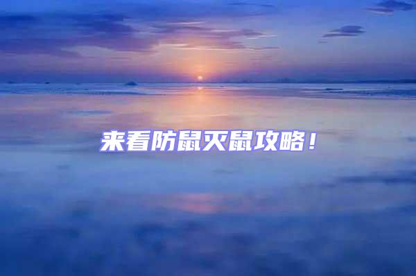 來看防鼠滅鼠攻略！
