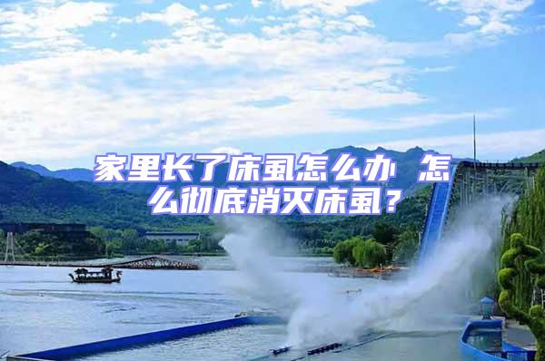 家里長了床虱怎么辦 怎么徹底消滅床虱？