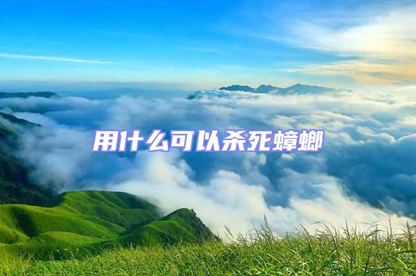 用什么可以殺死蟑螂