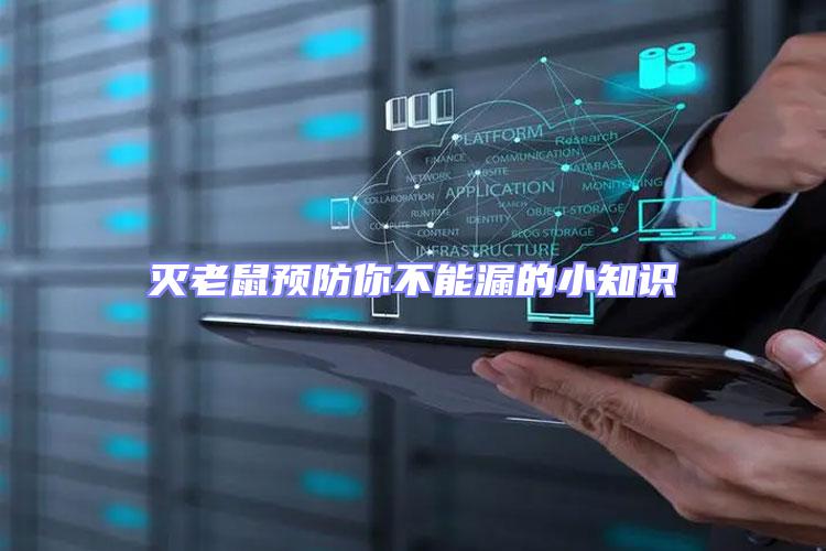 滅老鼠預防你不能漏的小知識