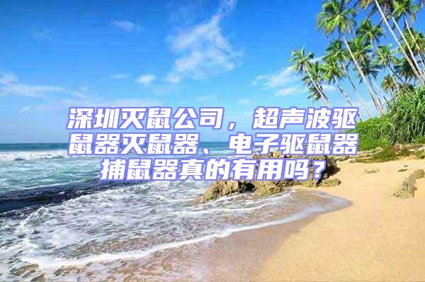 深圳滅鼠公司，超聲波驅鼠器滅鼠器、電子驅鼠器捕鼠器真的有用嗎？