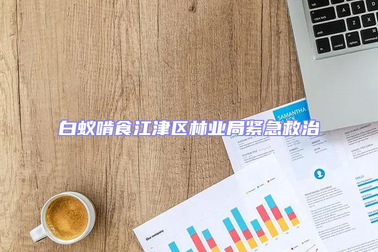 白蟻啃食江津區(qū)林業(yè)局緊急救治