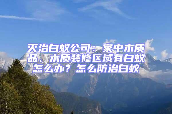 滅治白蟻公司：家中木質品、木質裝修區域有白蟻怎么辦？怎么防治白蟻