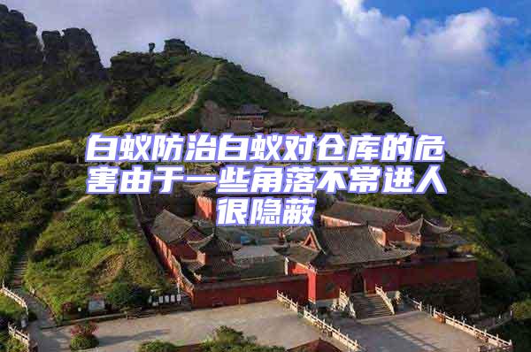 白蟻防治白蟻對倉庫的危害由于一些角落不常進(jìn)人很隱蔽