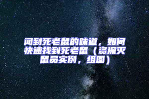 聞到死老鼠的味道，如何快速找到死老鼠（資深滅鼠員實例，組圖）