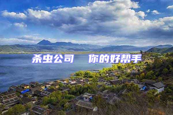 殺蟲公司  你的好幫手