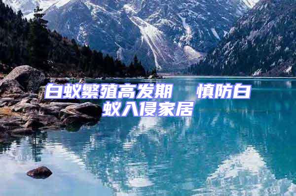 白蟻繁殖高發期  慎防白蟻入侵家居