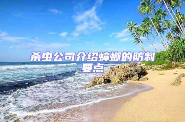 殺蟲公司介紹蟑螂的防制要點