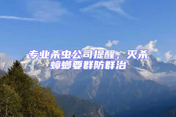 專業(yè)殺蟲公司提醒，滅殺蟑螂要群防群治