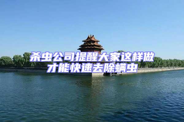 殺蟲公司提醒大家這樣做才能快速去除螨蟲