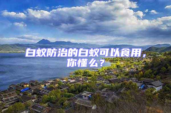 白蟻防治的白蟻可以食用，你懂么？