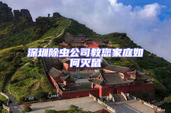 深圳除蟲公司教您家庭如何滅鼠