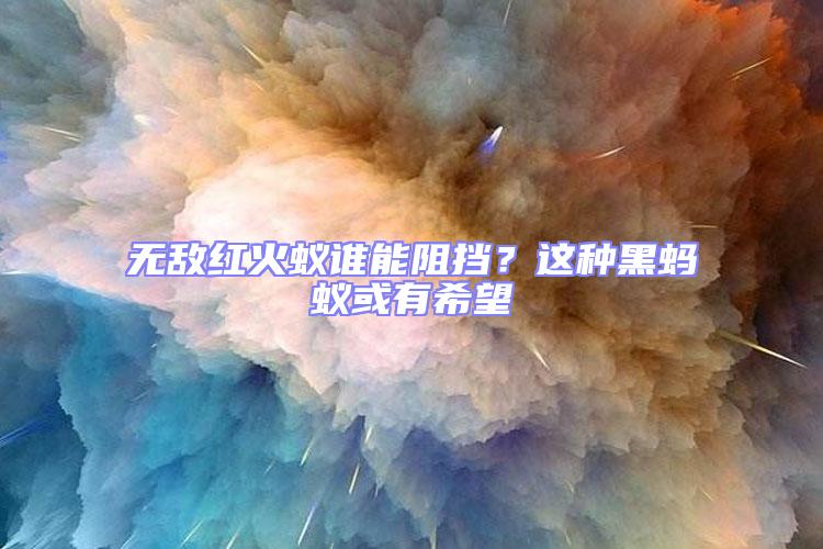 無敵紅火蟻誰能阻擋？這種黑螞蟻或有希望