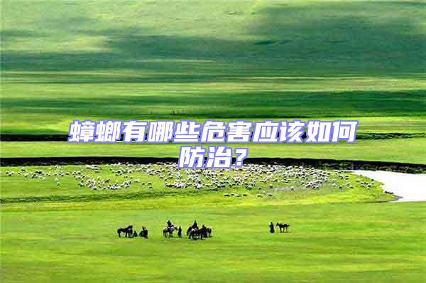 蟑螂有哪些危害應該如何防治？