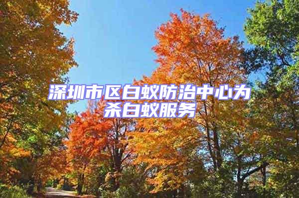 深圳市區白蟻防治中心為殺白蟻服務