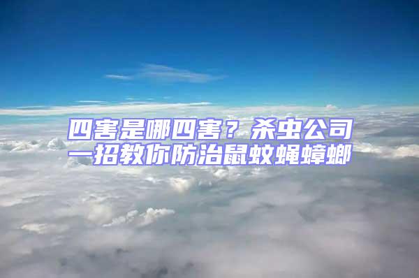 四害是哪四害？殺蟲公司一招教你防治鼠蚊蠅蟑螂