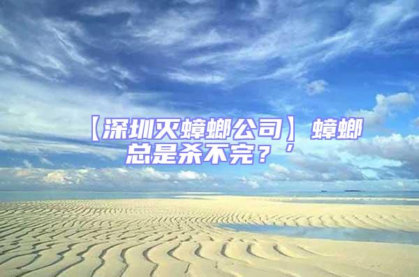 【深圳滅蟑螂公司】蟑螂總是殺不完？’
