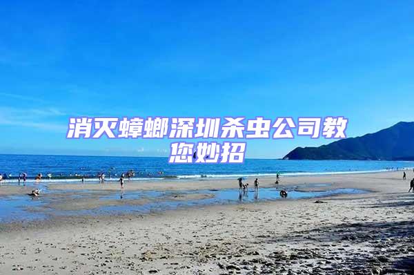 消滅蟑螂深圳殺蟲公司教您妙招