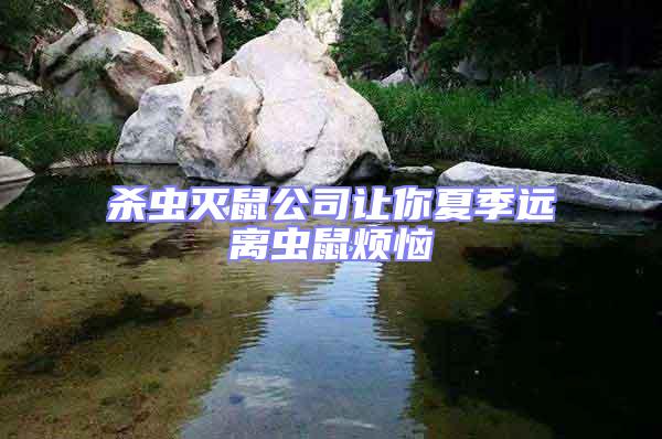 殺蟲滅鼠公司讓你夏季遠離蟲鼠煩惱