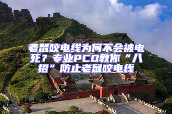 老鼠咬電線為何不會被電死？專業PCO教你“八招”防止老鼠咬電線