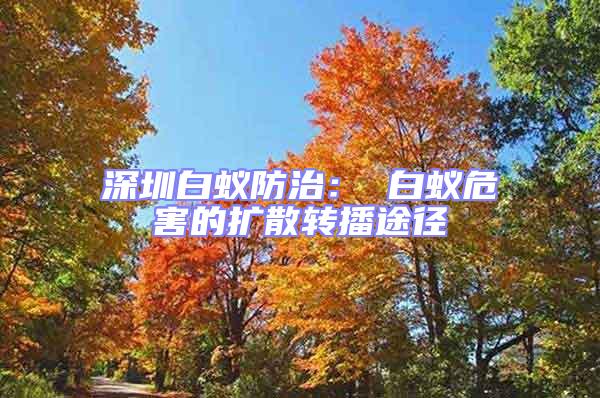 深圳白蟻防治： 白蟻危害的擴散轉播途徑