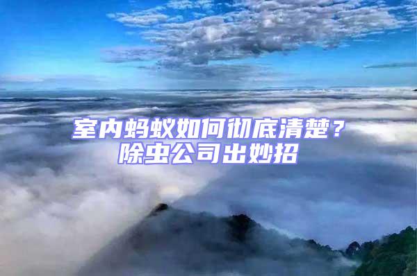 室內(nèi)螞蟻如何徹底清楚？除蟲公司出妙招