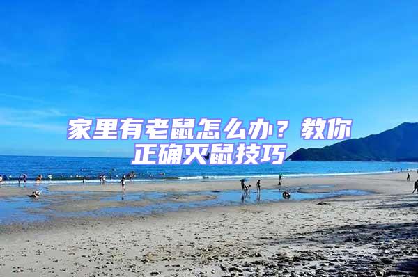 家里有老鼠怎么辦？教你正確滅鼠技巧