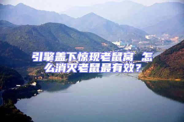 引擎蓋下驚現(xiàn)老鼠窩 怎么消滅老鼠最有效？