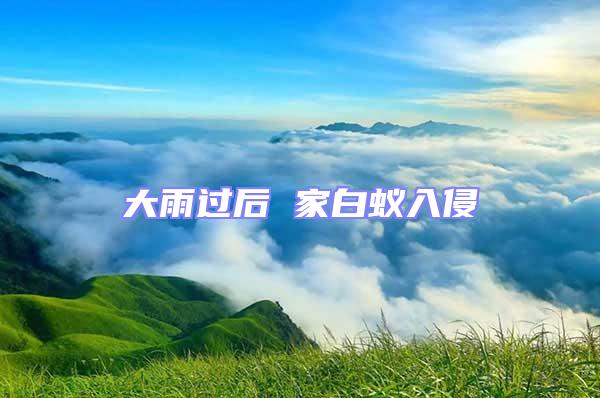 大雨過后 家白蟻入侵